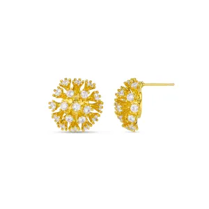 Statement Crystal Burst Stud Earrings